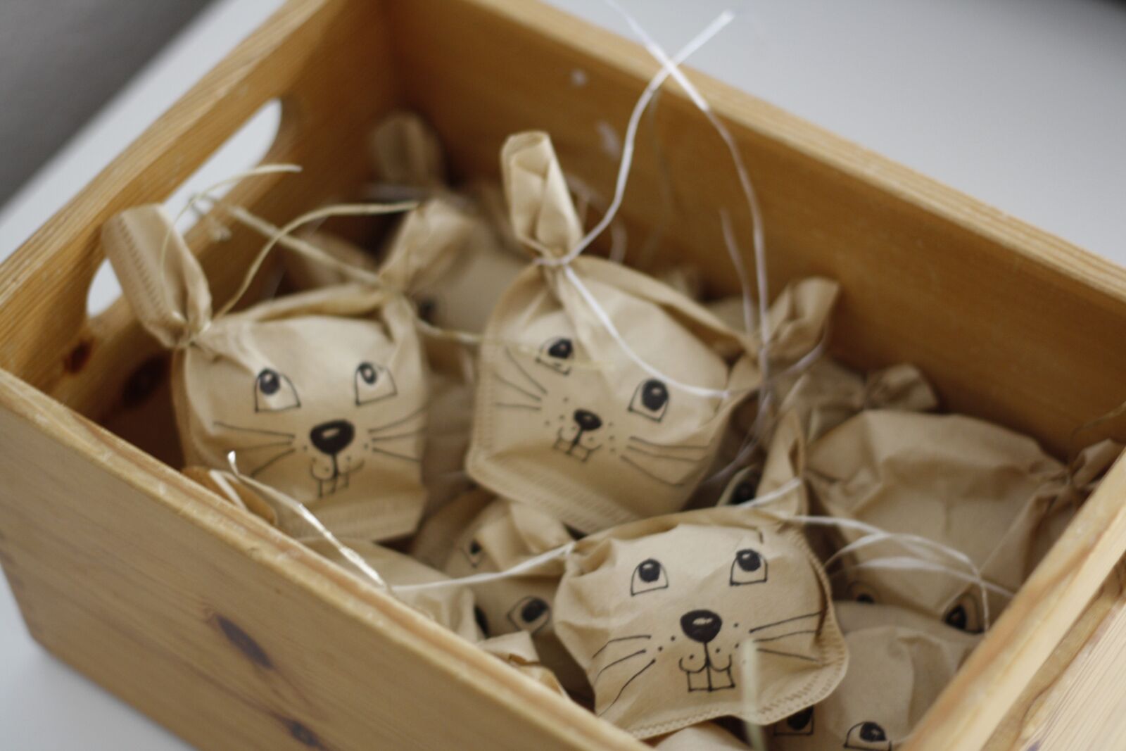 Canon EOS 1000D (EOS Digital Rebel XS / EOS Kiss F) sample photo. Decoration, rabbit, tinker photography