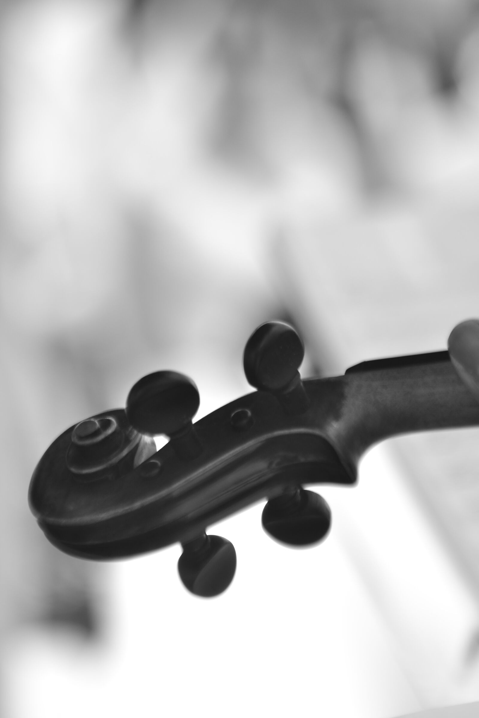 Nikon D3100 sample photo. Music, event, ropes photography