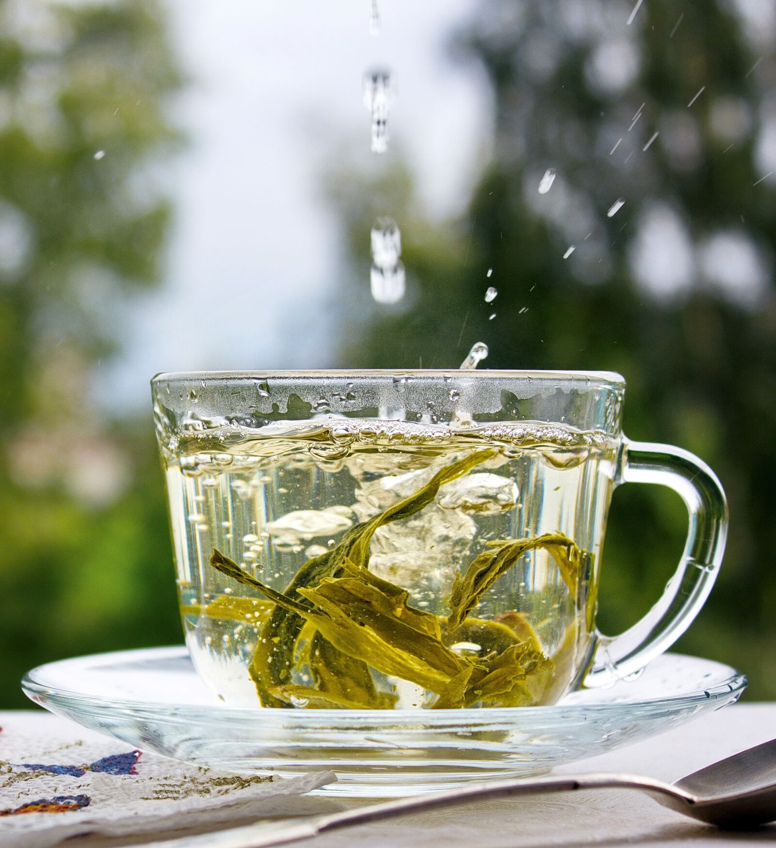 Canon EOS 550D (EOS Rebel T2i / EOS Kiss X4) sample photo. Green tea, a cup photography