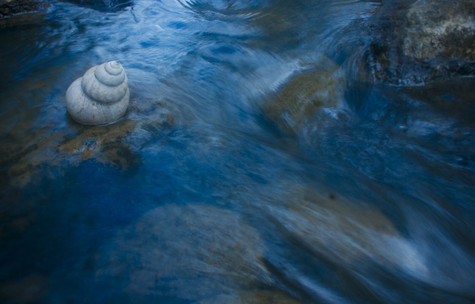 Canon EF-S 18-55mm F3.5-5.6 IS sample photo. Shell, river, flow photography