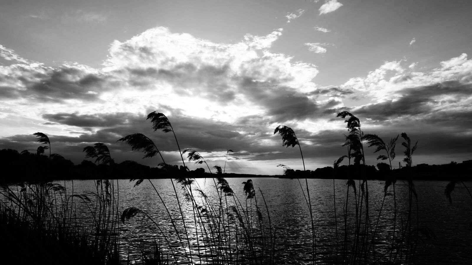 Sony Alpha a5000 (ILCE 5000) sample photo. Lake, bw, sun photography