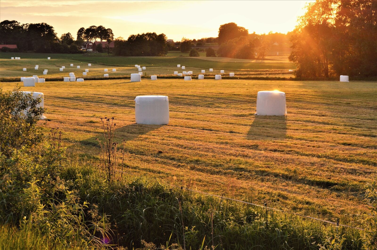 Nikon D3200 sample photo. Hay bales, sunset, sweden photography