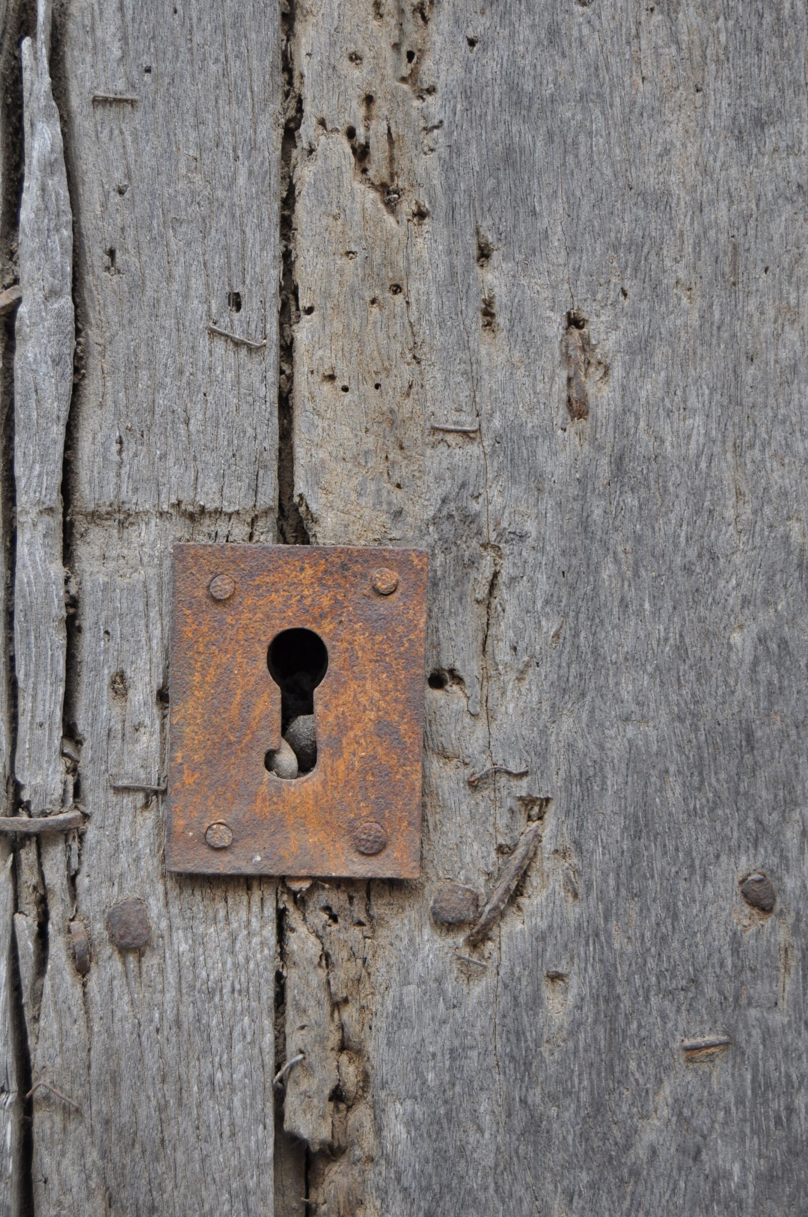 Nikon D90 sample photo. Door, bolt, wood photography
