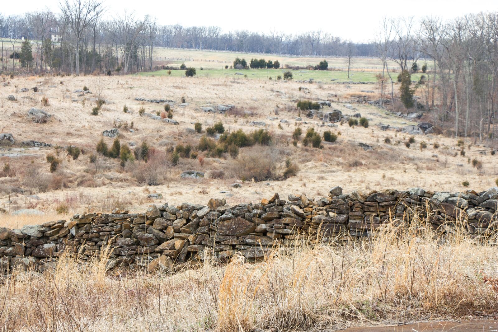 Canon EOS 650D (EOS Rebel T4i / EOS Kiss X6i) sample photo. Civil war, gettysburg, battlefield photography