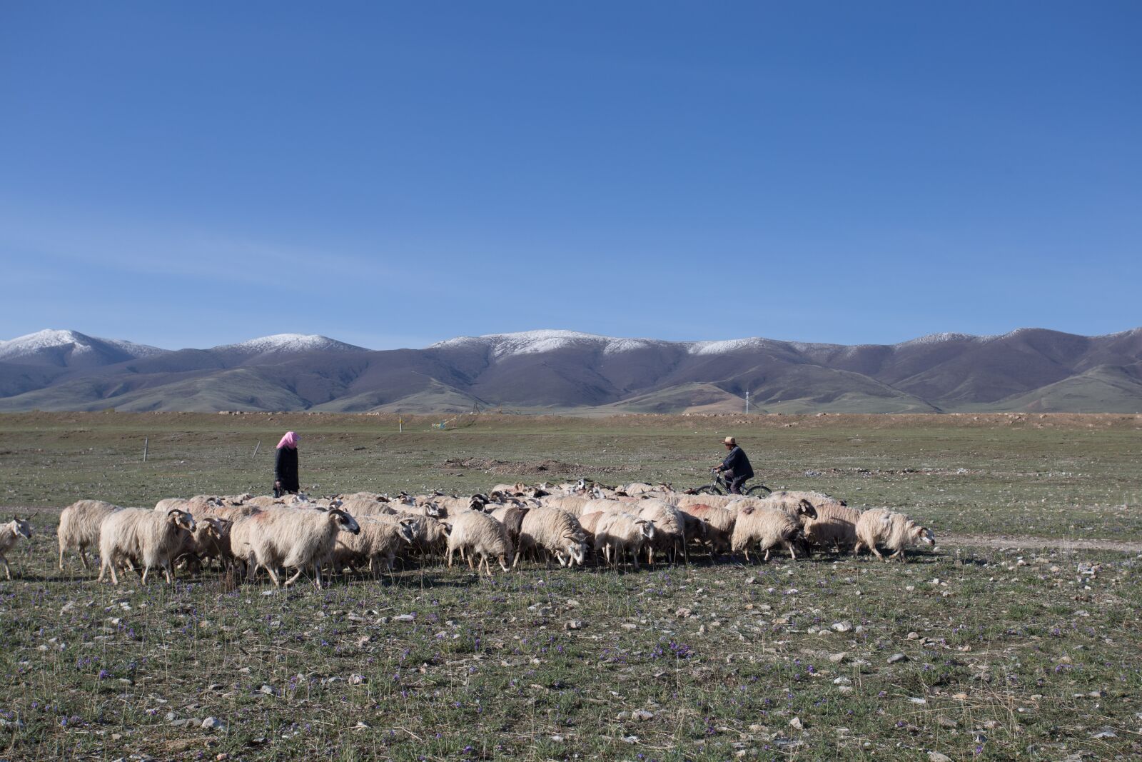 Canon EOS 6D + Canon EF 17-40mm F4L USM sample photo. Qinghai lake, xining, gansu photography