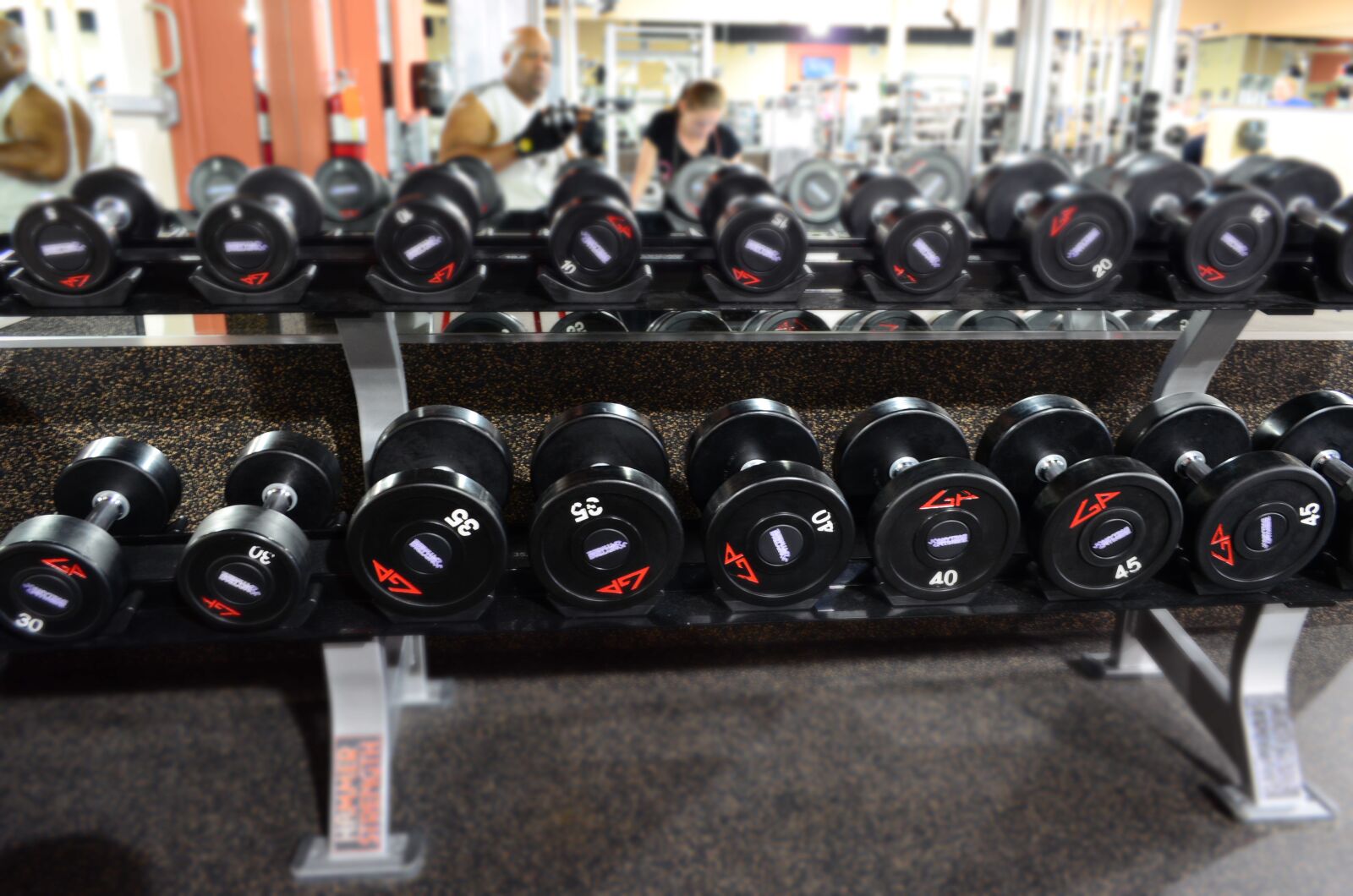 Nikon D5100 sample photo. Gym, wieghts, fitness photography