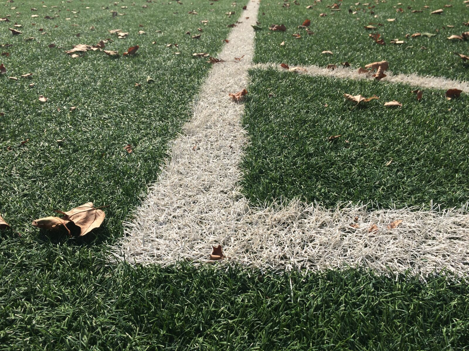 iPhone 5s back camera 4.15mm f/2.2 sample photo. Soccer field, fake grass photography