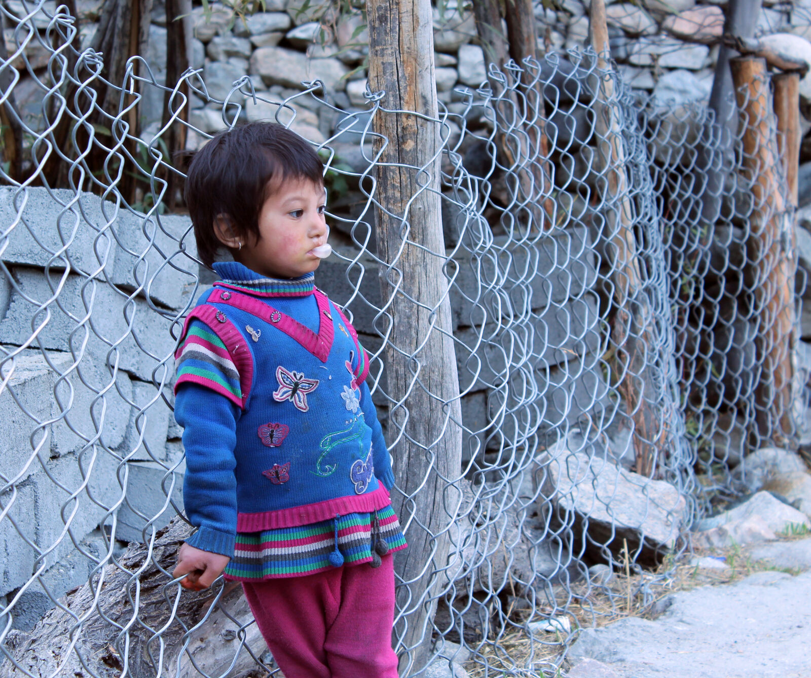 Canon EOS 1200D (EOS Rebel T5 / EOS Kiss X70 / EOS Hi) sample photo. Child, fence, girl, small photography