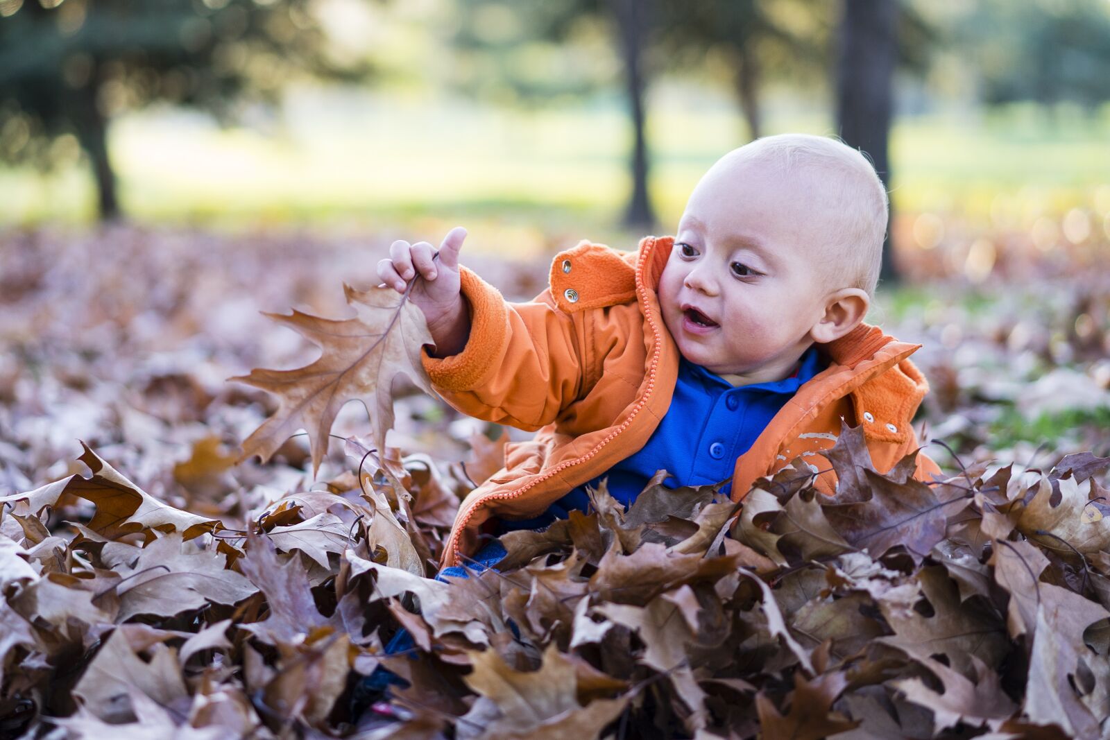 Sony a7 + Sony Sonnar T* FE 55mm F1.8 ZA sample photo. Child, forest, playing photography