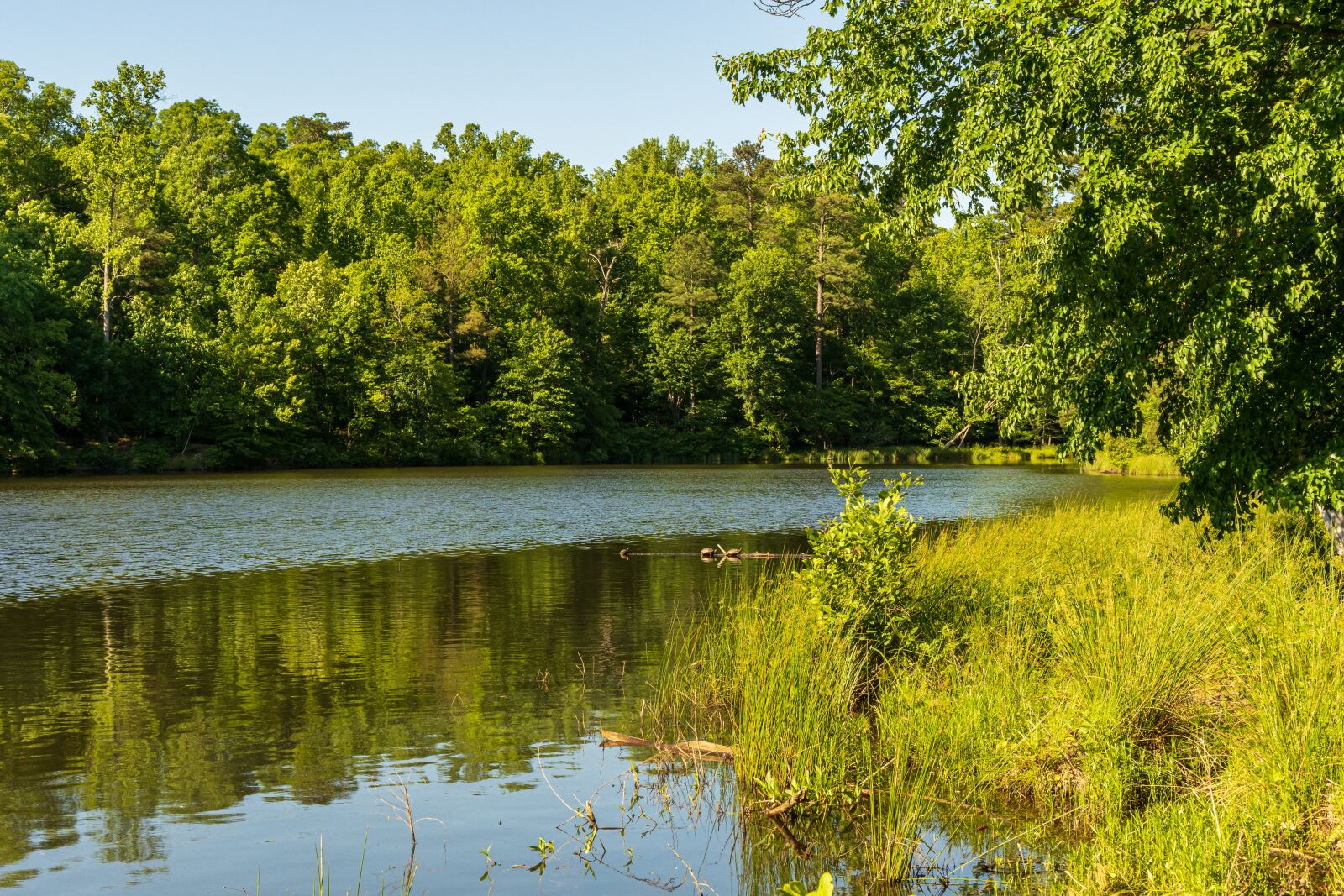 Sony E 35mm F1.8 OSS sample photo. Preserve lake, conservation area photography
