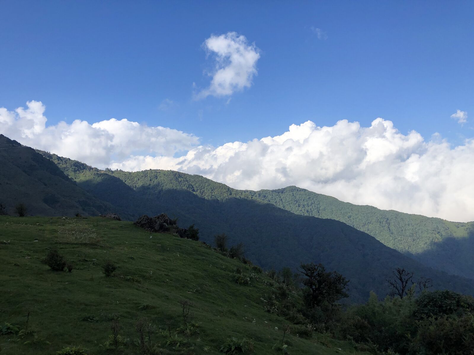 iPhone 8 Plus back dual camera 3.99mm f/1.8 sample photo. Sandakphu, himalayas, mountains photography