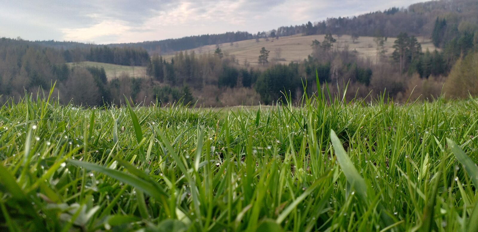 Samsung Galaxy J4+ sample photo. Smap, 2019y, dukla photography