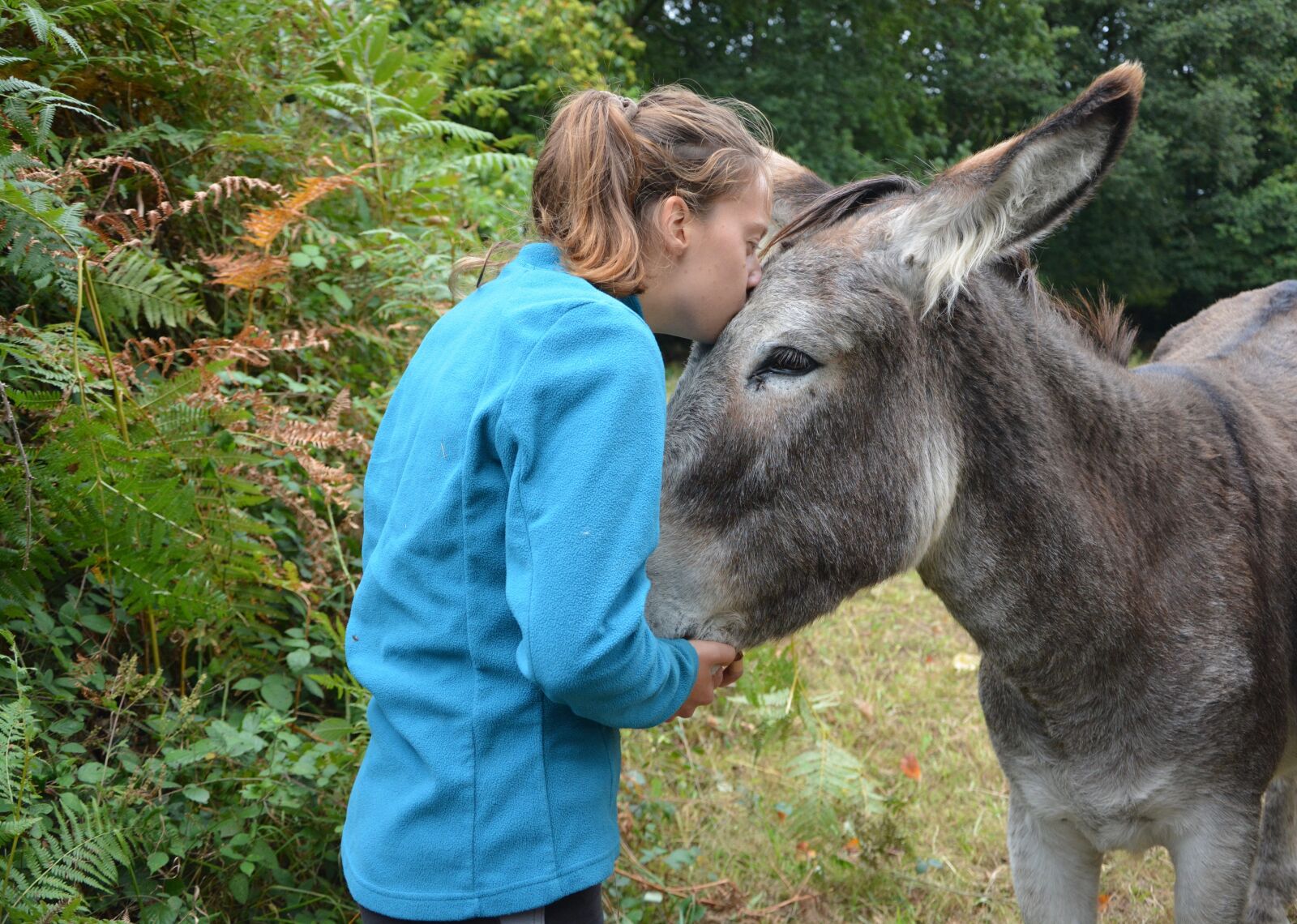 Nikon D5200 sample photo. Kiss, donkey, girl photography