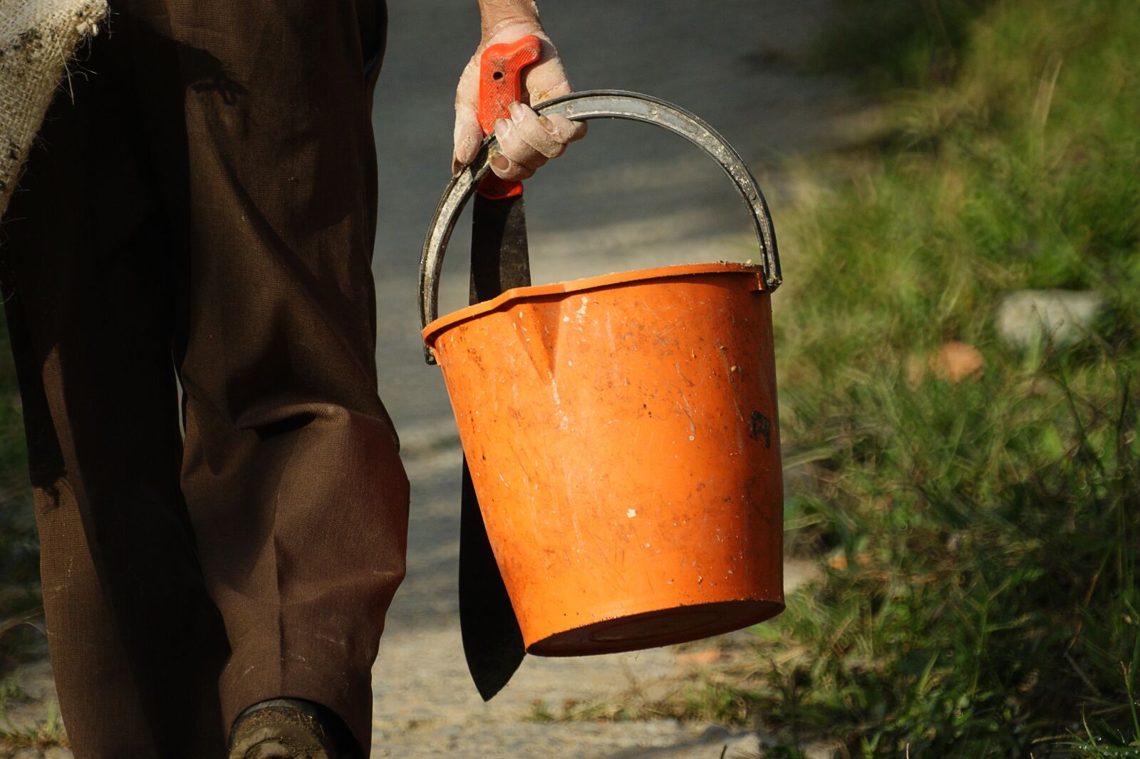 Sony Alpha DSLR-A390 sample photo. Image, valde, machete photography