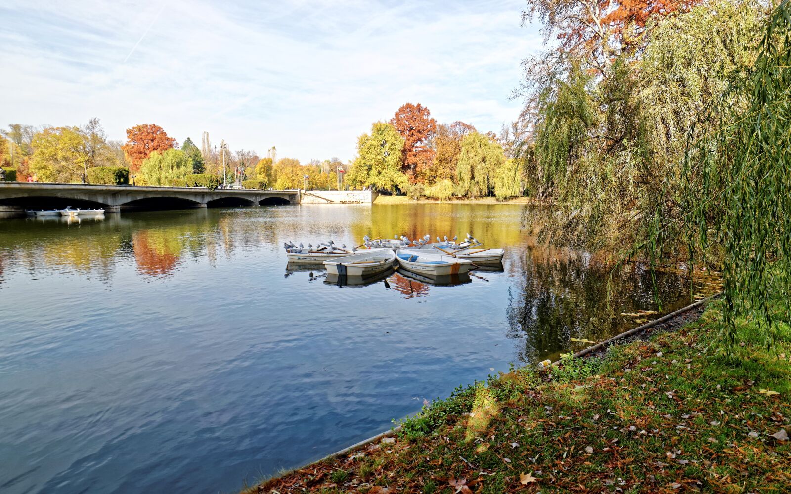 Nikon D5300 sample photo. Landscape, nature, autumn photography