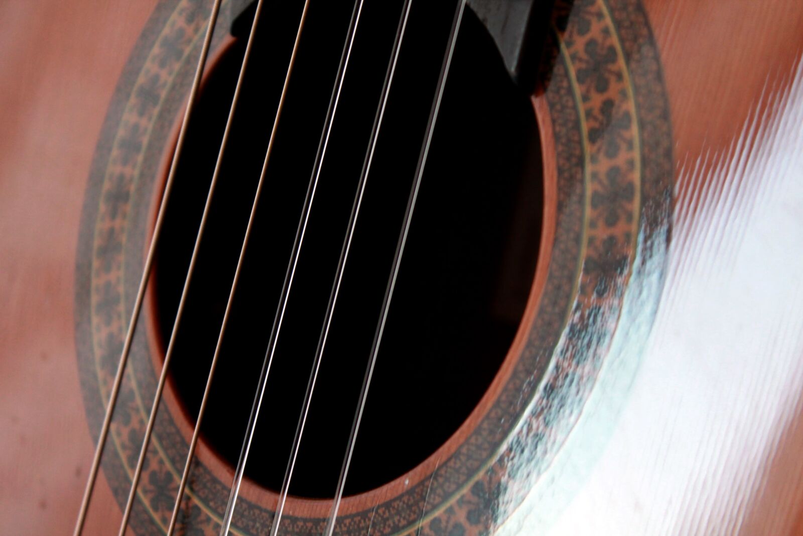 Canon EOS 1100D (EOS Rebel T3 / EOS Kiss X50) sample photo. Guitar, guitar strings, music photography