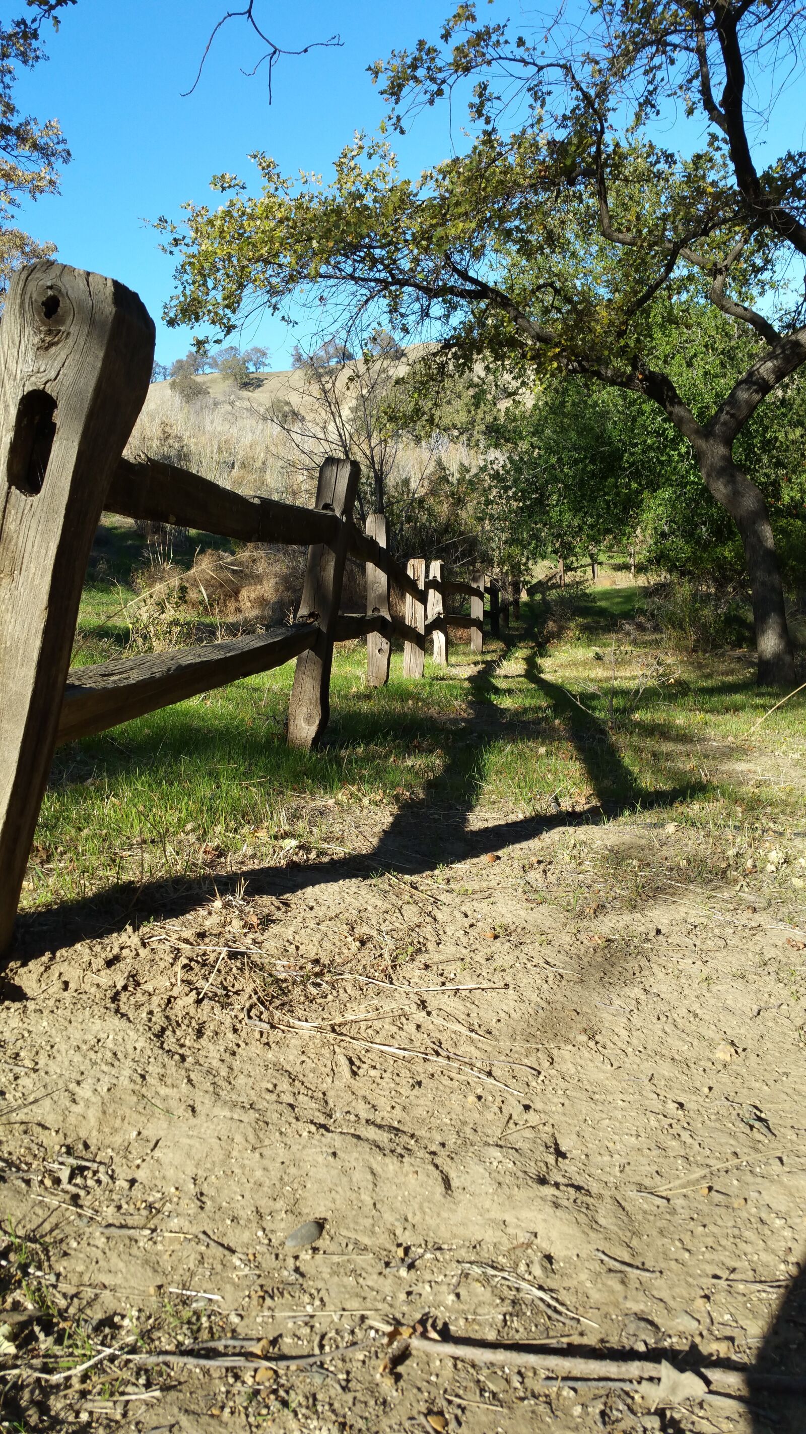 Samsung Galaxy Note4 sample photo. Fence, grass, trees photography