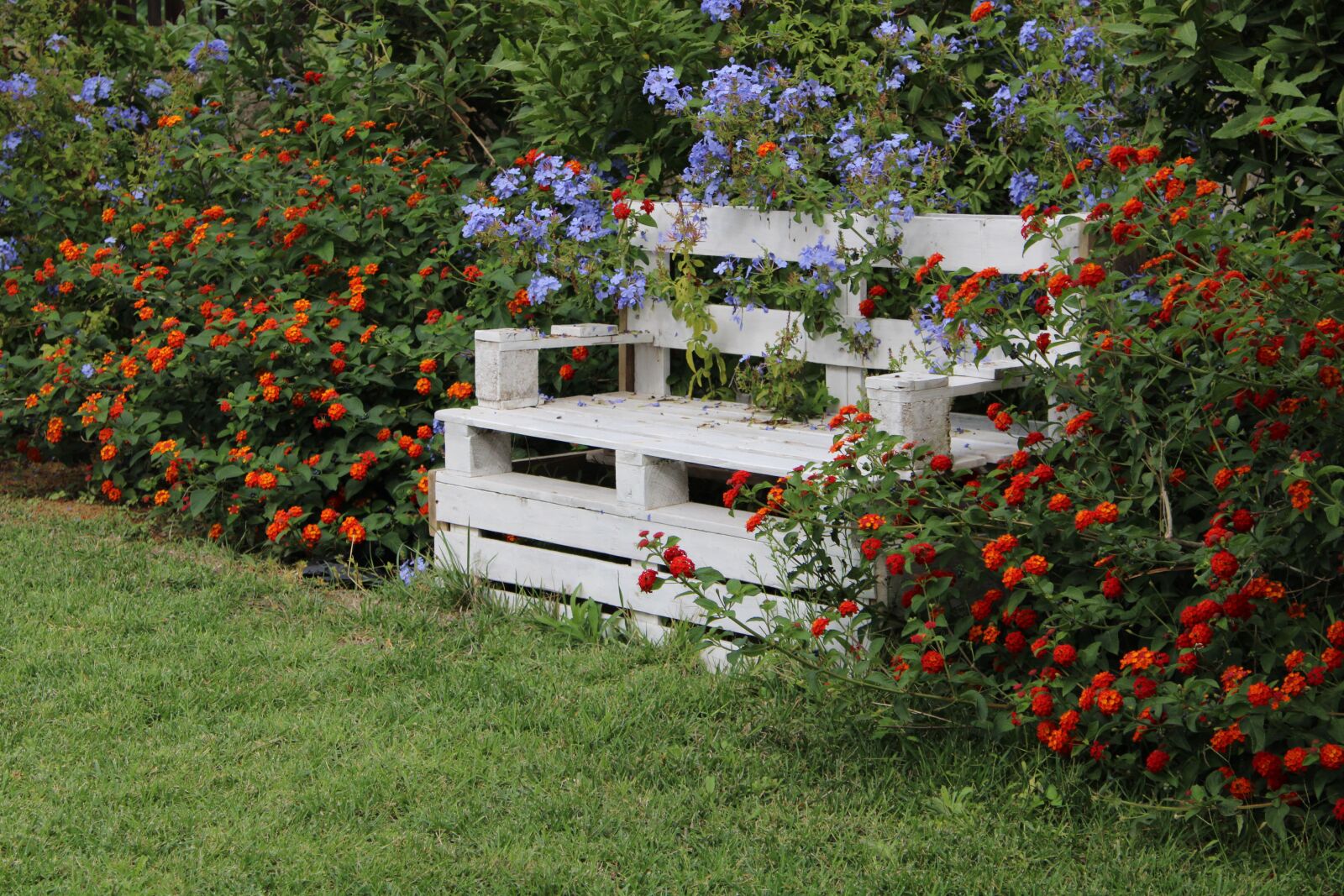 Canon EOS 2000D (EOS Rebel T7 / EOS Kiss X90 / EOS 1500D) sample photo. Park bench, white, garden photography