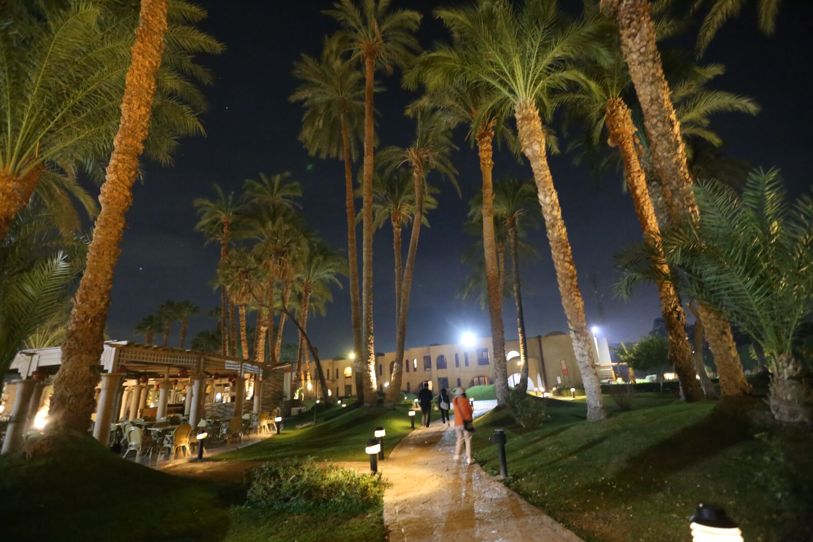 Canon EF 16-35mm F2.8L II USM sample photo. Hotel, night view, egypt photography