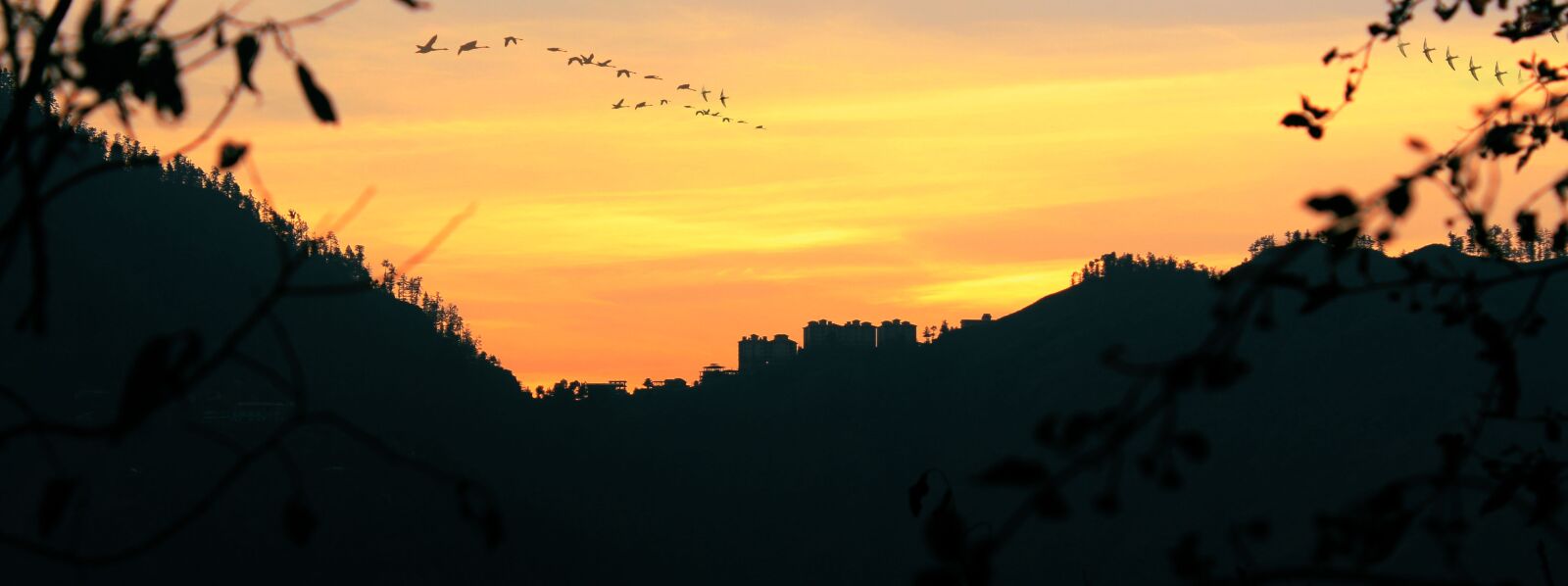 Canon EOS 700D (EOS Rebel T5i / EOS Kiss X7i) sample photo. India, shimla, himachal photography