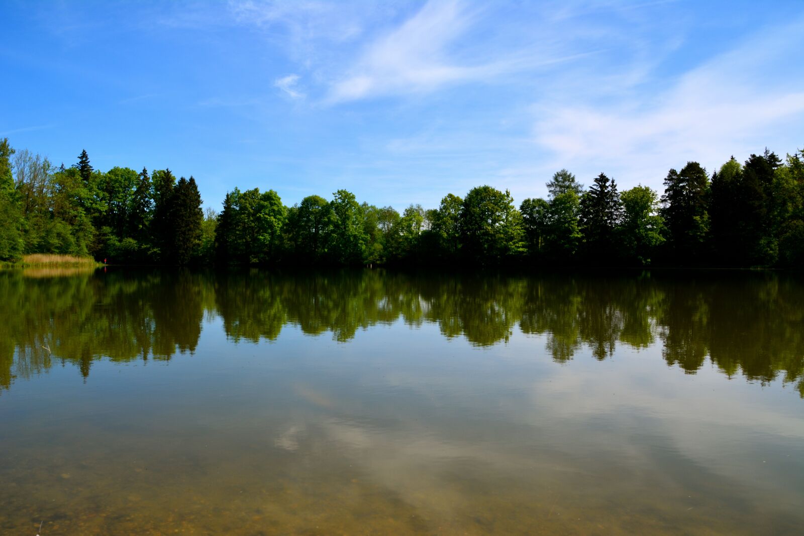 Nikon D5200 sample photo. Lake, forest, nature photography