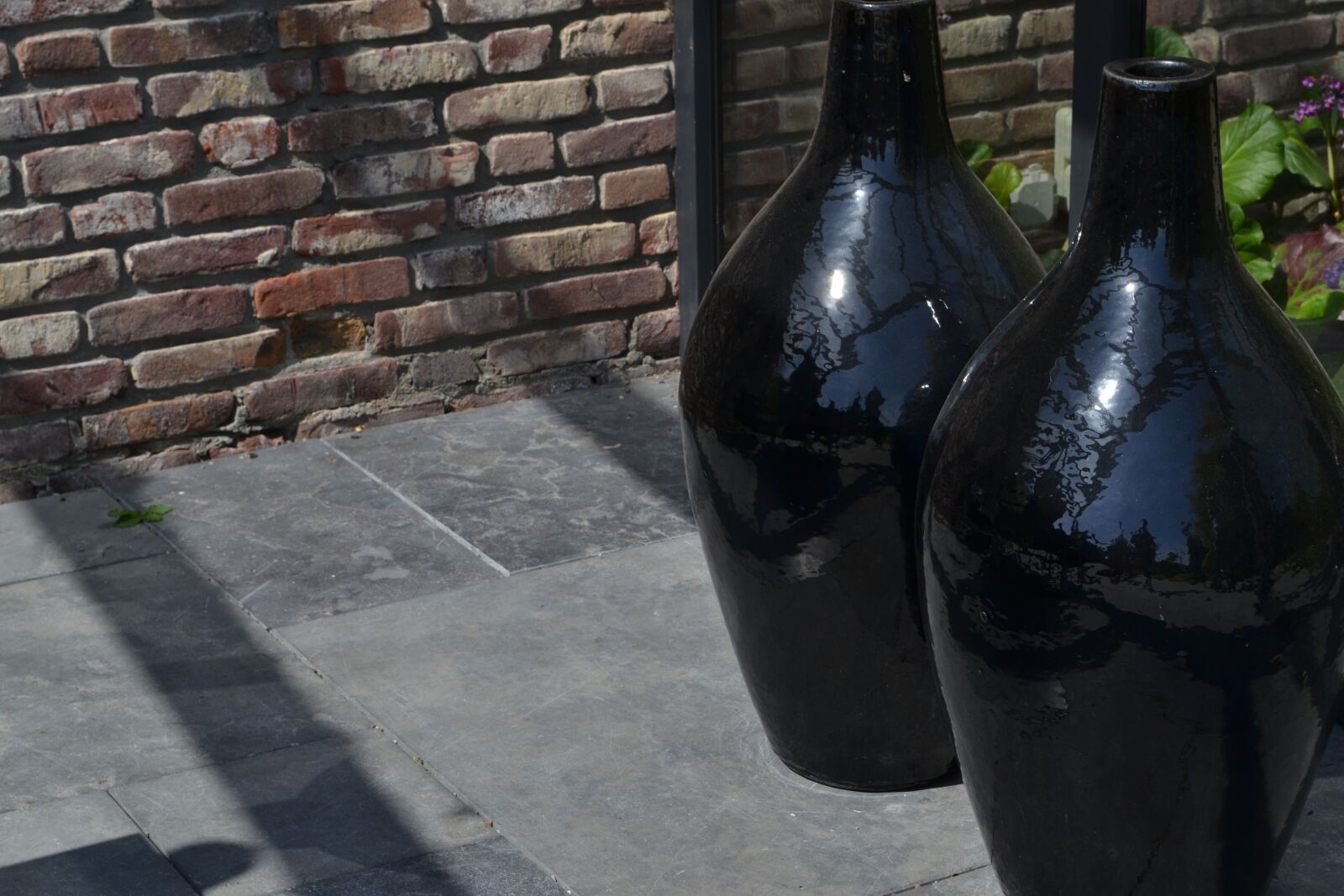 Nikon D3100 sample photo. Black, mevrouw, s, mylifewiths photography