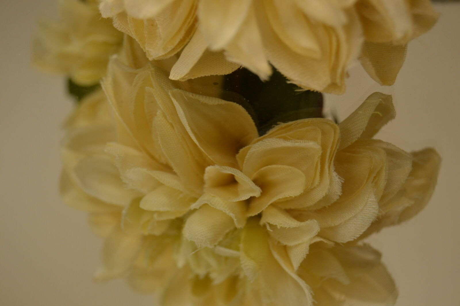 Nikon D3100 sample photo