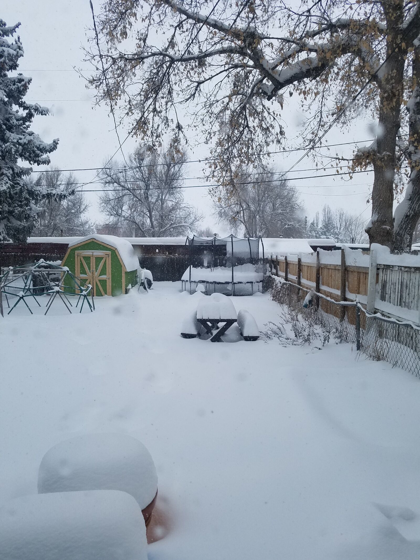 Samsung Galaxy S7 sample photo. Snowy, yard, snow photography