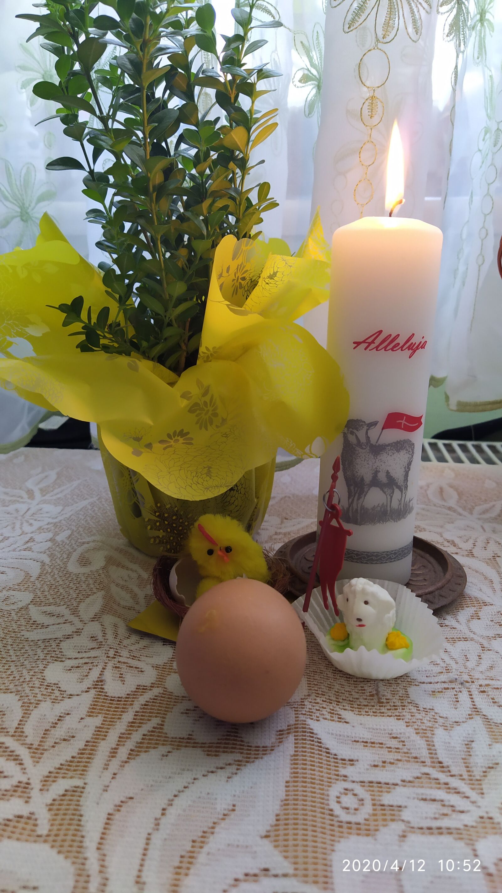 Xiaomi Redmi Note 7 sample photo. Easter, holidays, reed photography