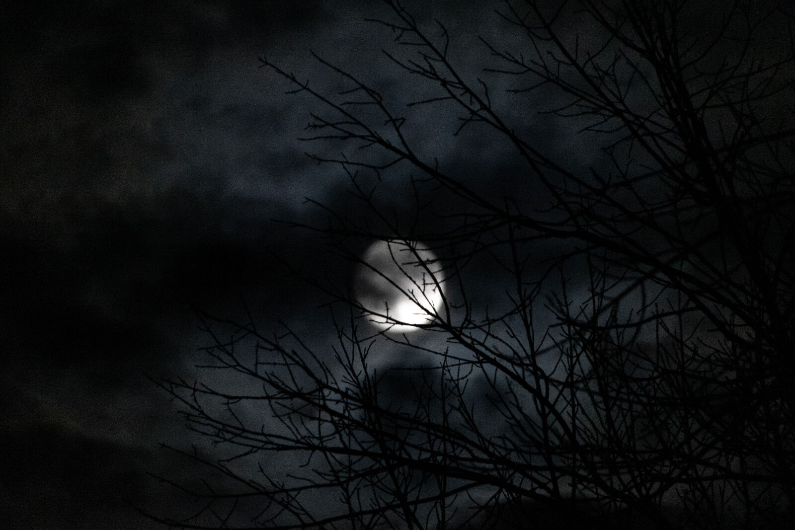 Nikon D750 sample photo