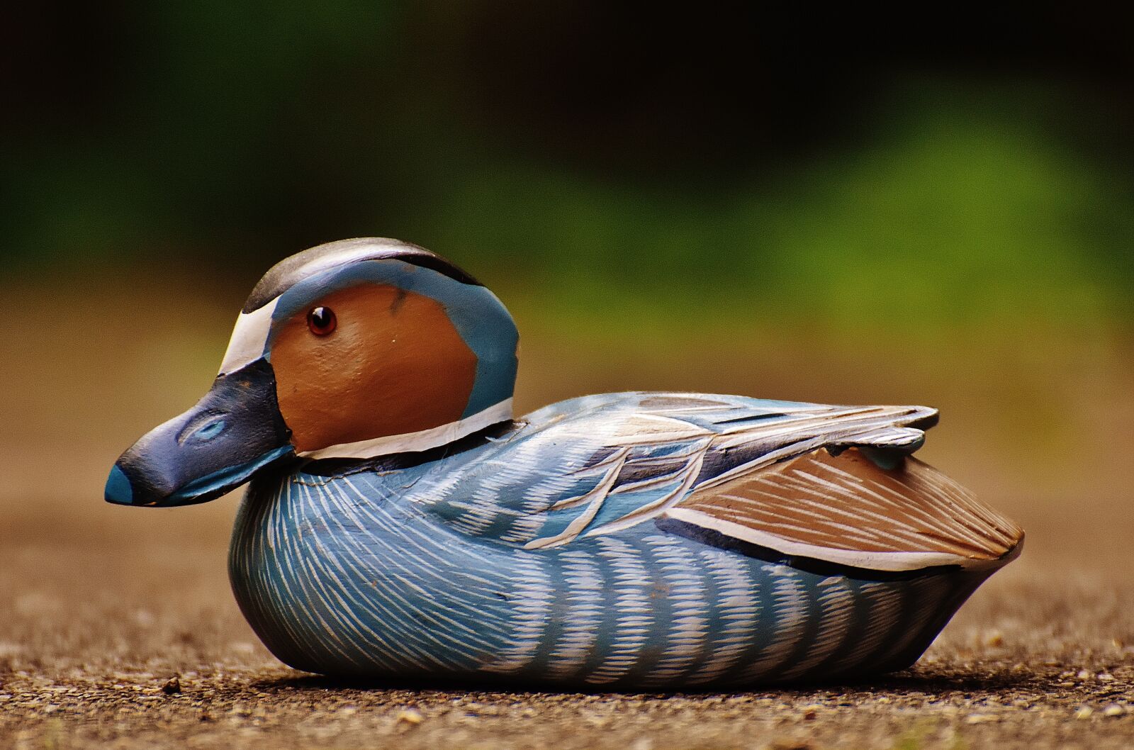 Nikon D7200 sample photo. Duck, deco, figure photography