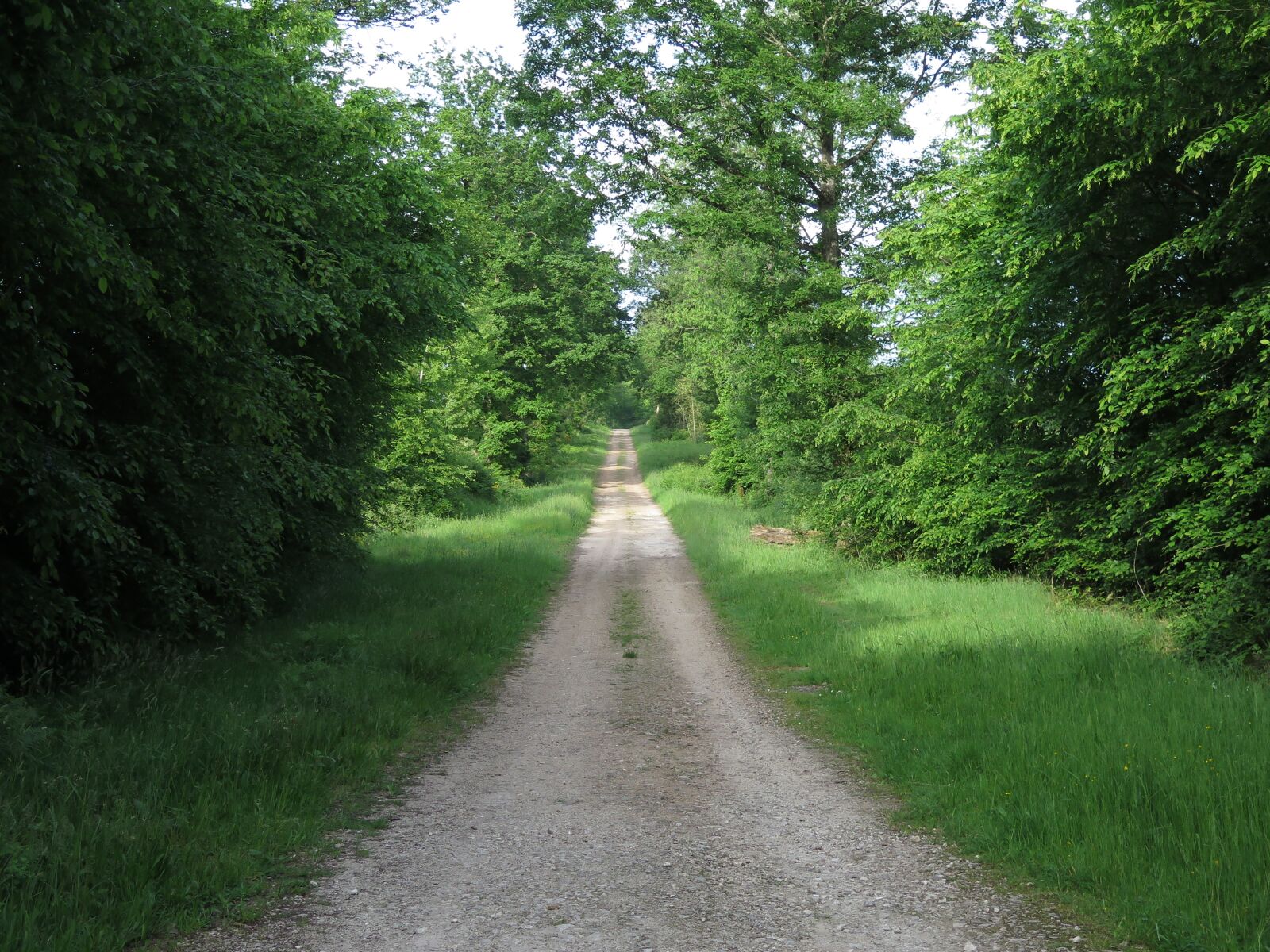 Canon PowerShot G16 sample photo. Trail, hiking, nature photography