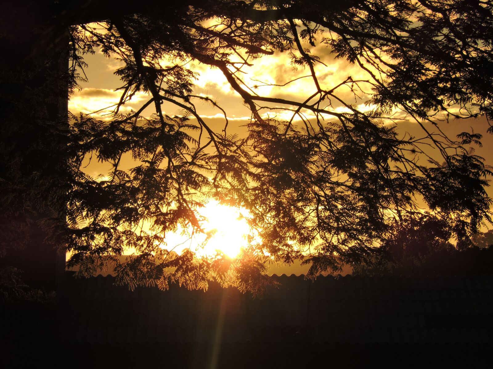 Nikon Coolpix P600 sample photo. Sol, afternoon, eventide photography