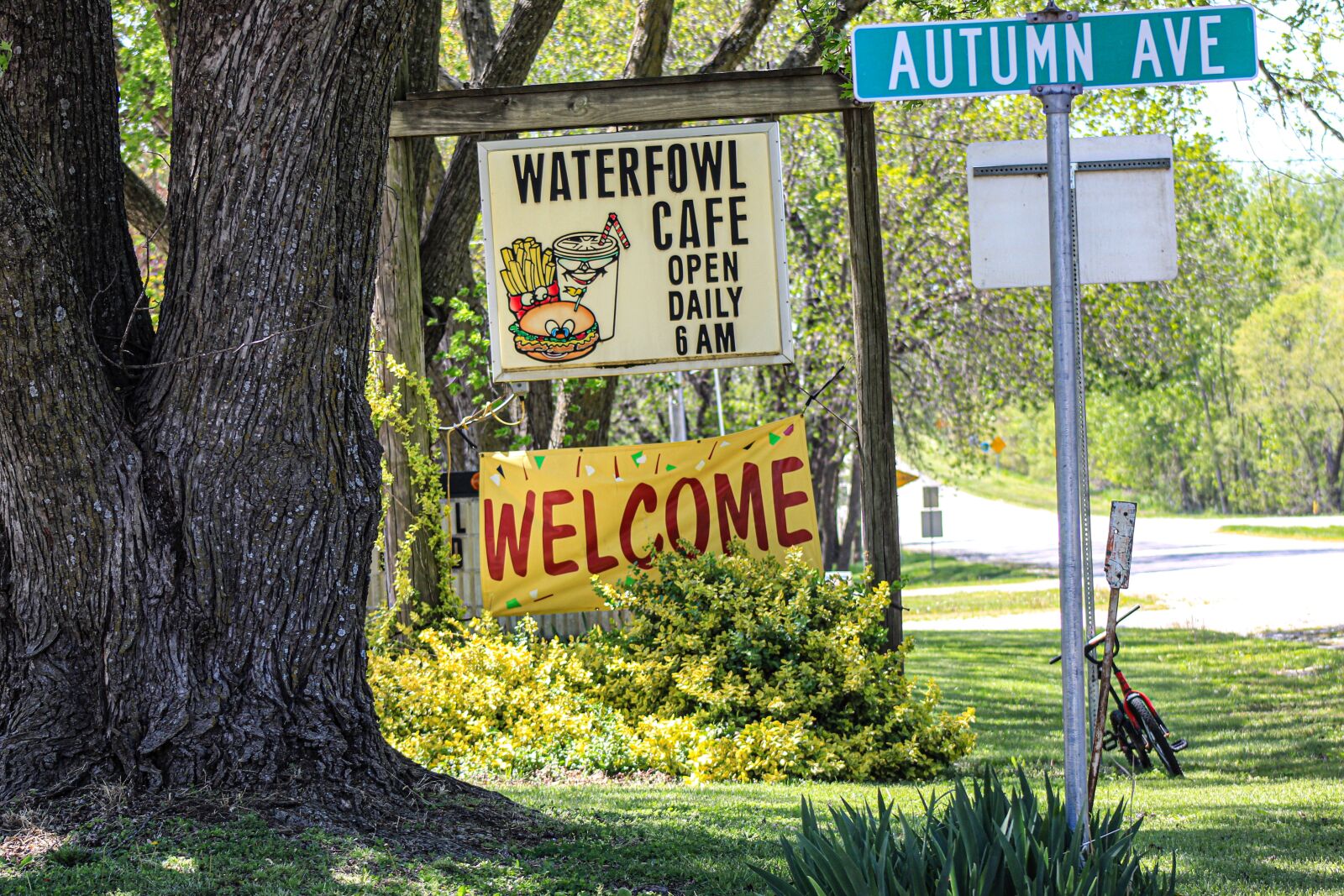 Canon EOS 4000D (EOS Rebel T100 / EOS 3000D) sample photo. Welcome sign, small town photography