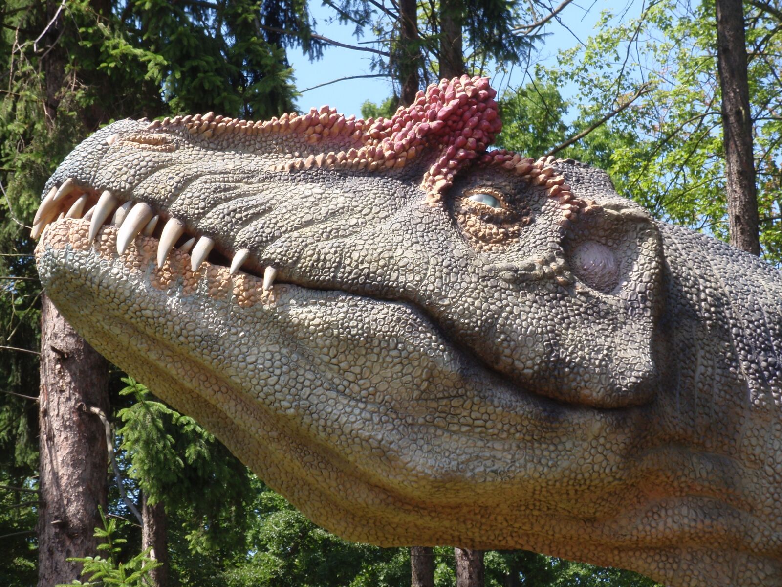 Olympus u1010,S1010 sample photo. Dinosaur, head, teeth photography