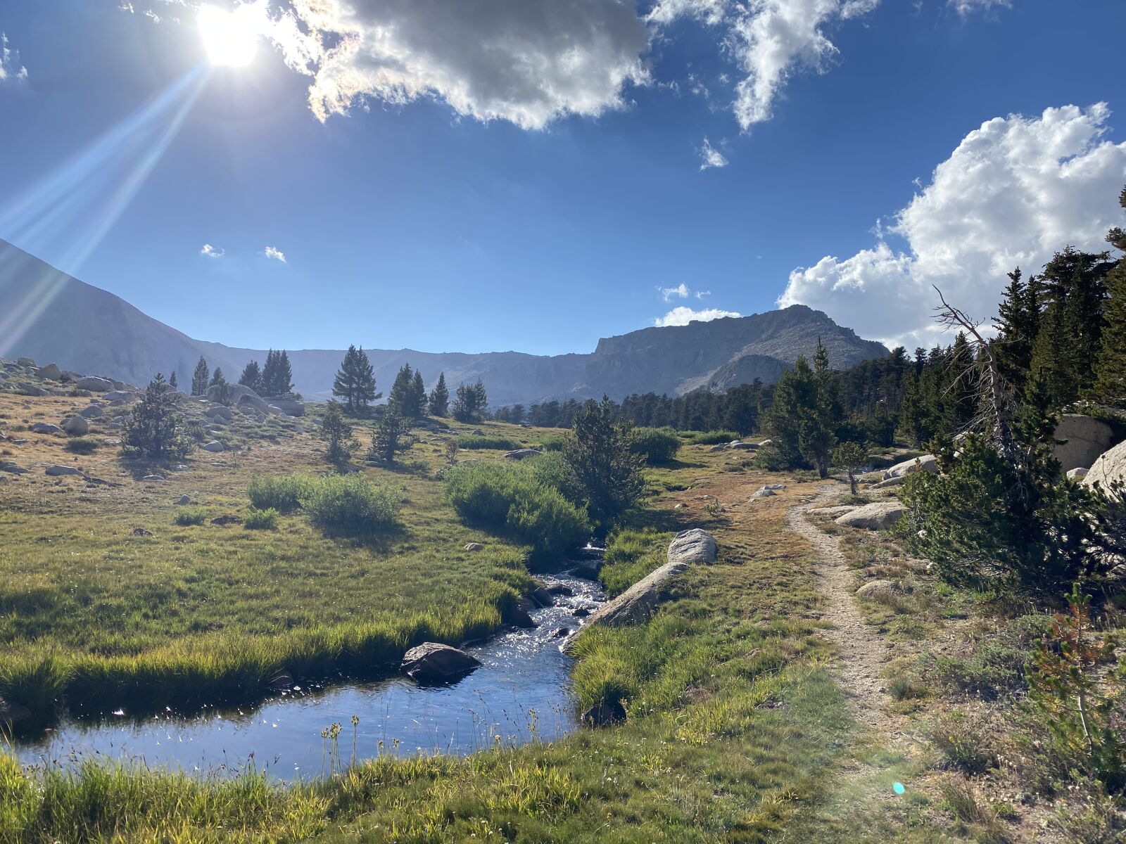 Apple iPhone 11 Pro sample photo. Mountain stream, hiking path photography