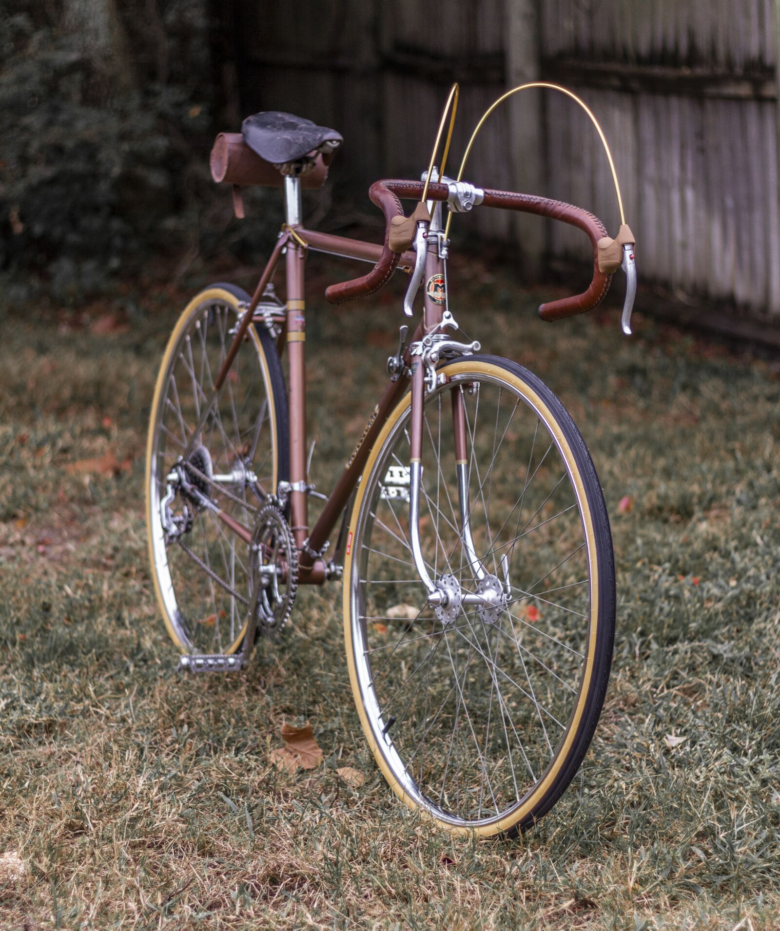 Canon EOS 60D + Canon EF 50mm F1.8 STM sample photo. Bicycle, vintage, road bike photography