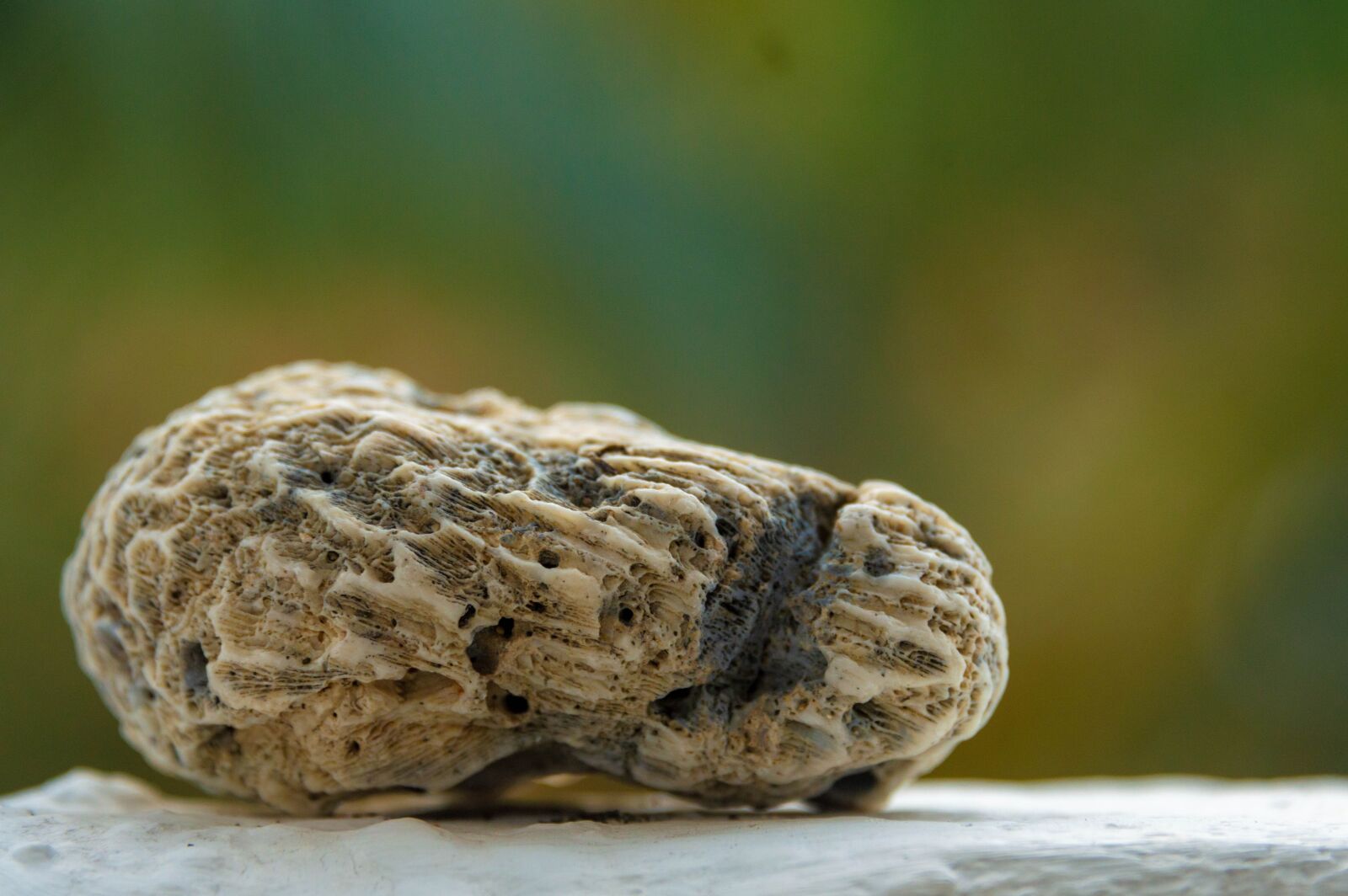 Nikon D3200 sample photo. Panama, roca, piedra photography