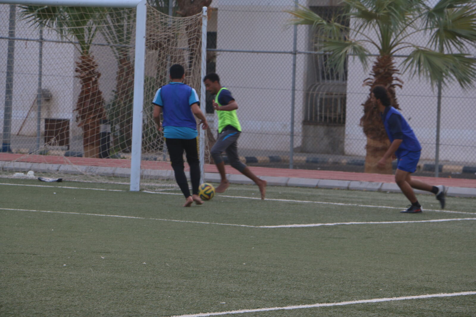 Canon EOS 70D sample photo