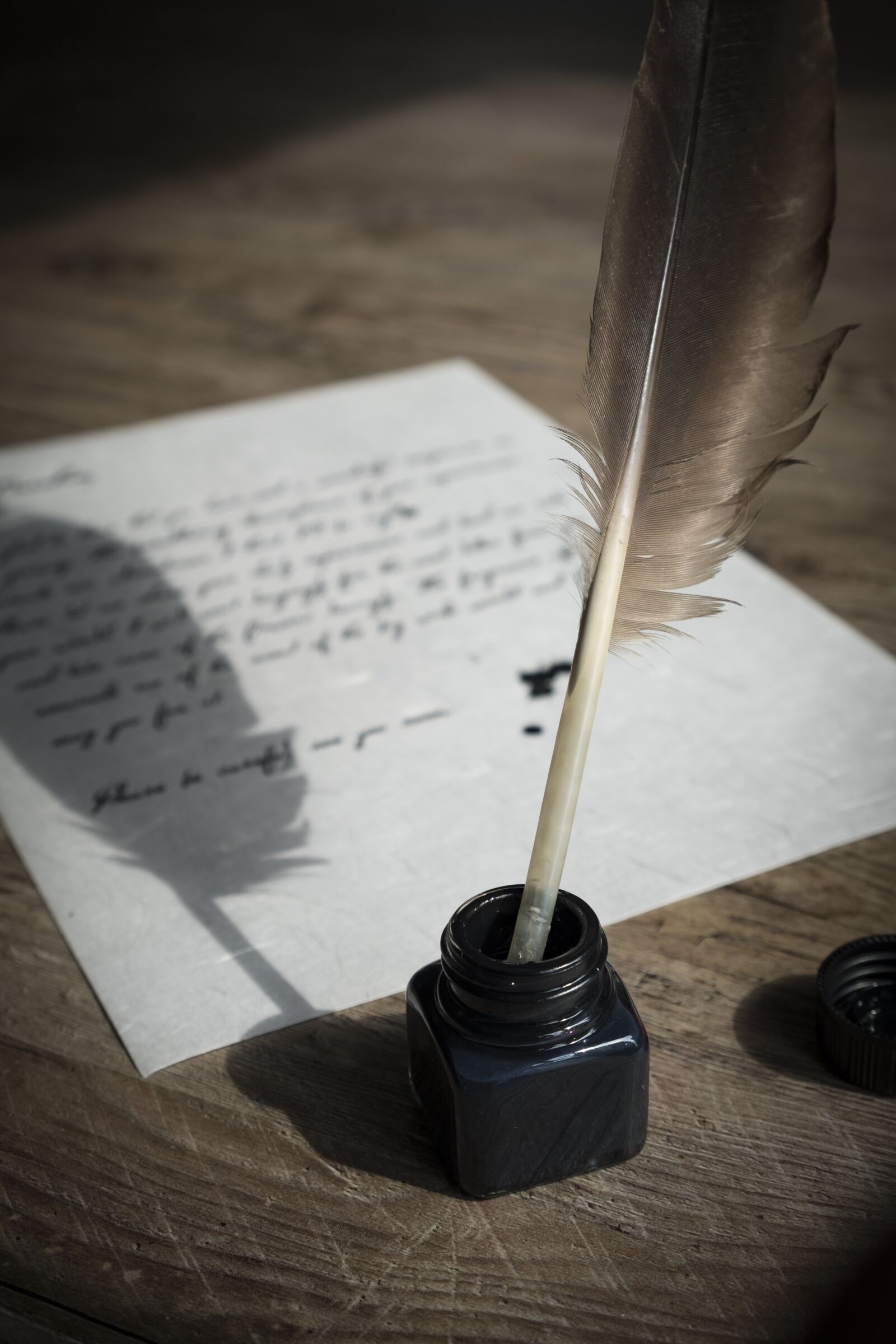 Fujifilm XF 18-55mm F2.8-4 R LM OIS sample photo. Bird feather, feather, paper photography