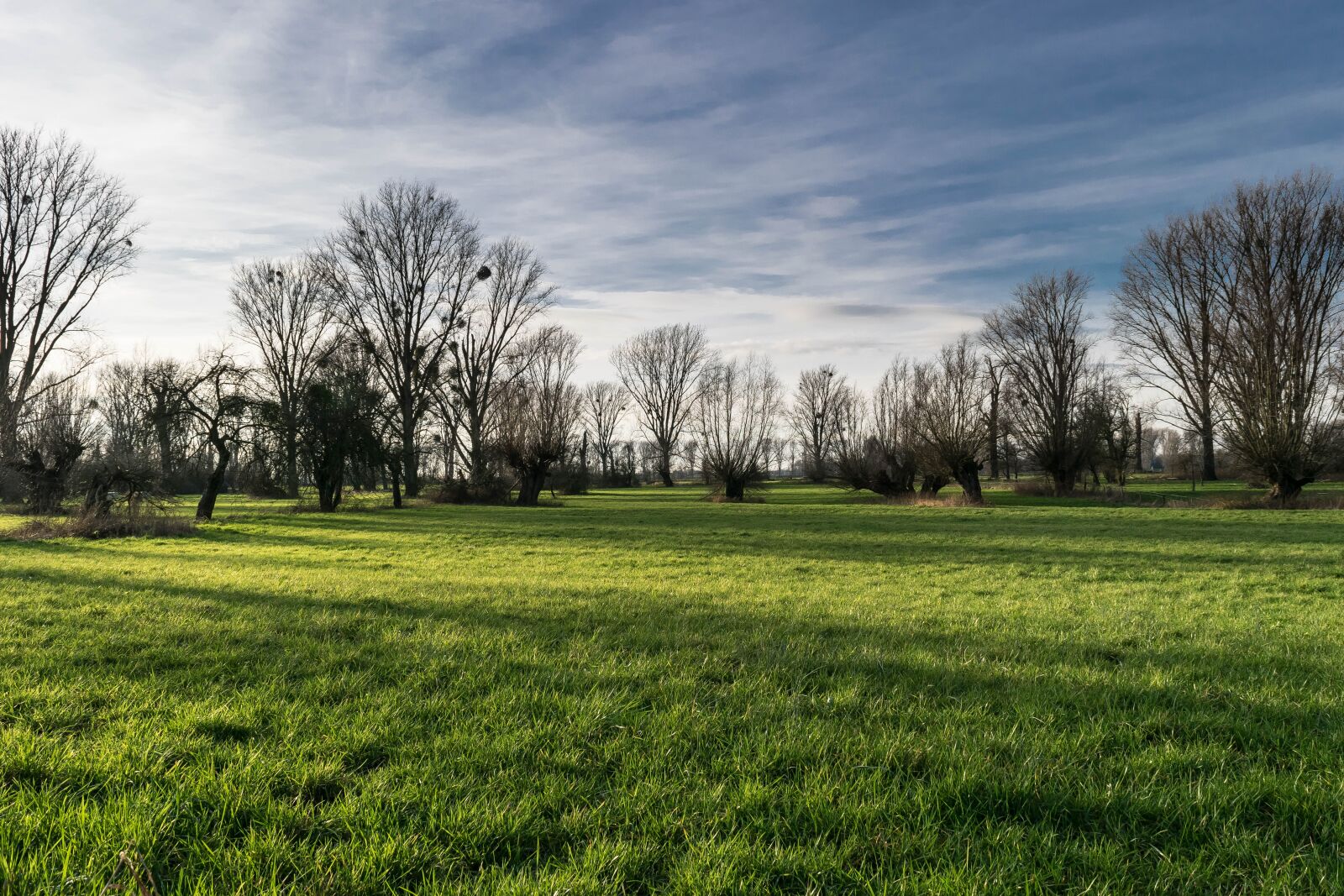 Nikon D3300 sample photo. Pasture, k mpe, urdenbacher photography