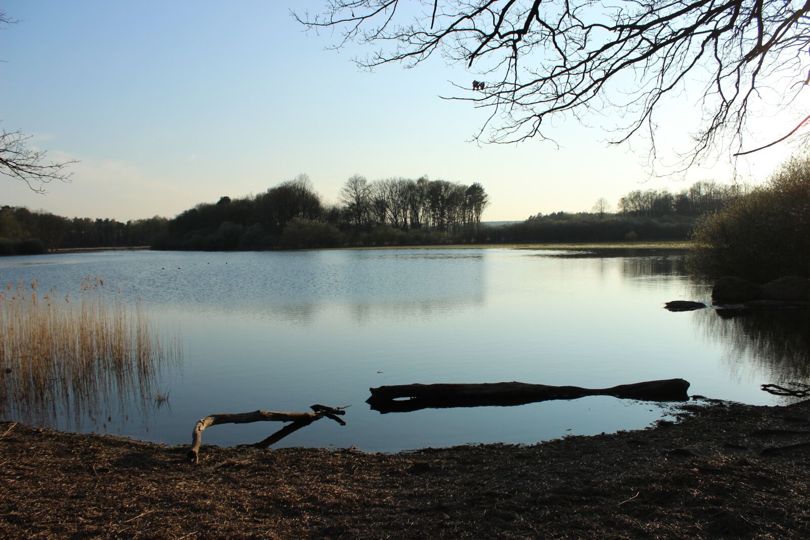Canon EOS 600D (Rebel EOS T3i / EOS Kiss X5) sample photo. Vote, brook, water photography