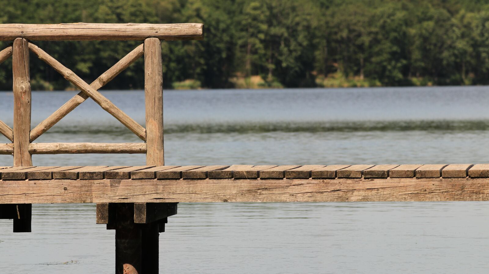 150-600mm F5-6.3 DG OS HSM | Contemporary 015 sample photo. Web, nature, lake photography