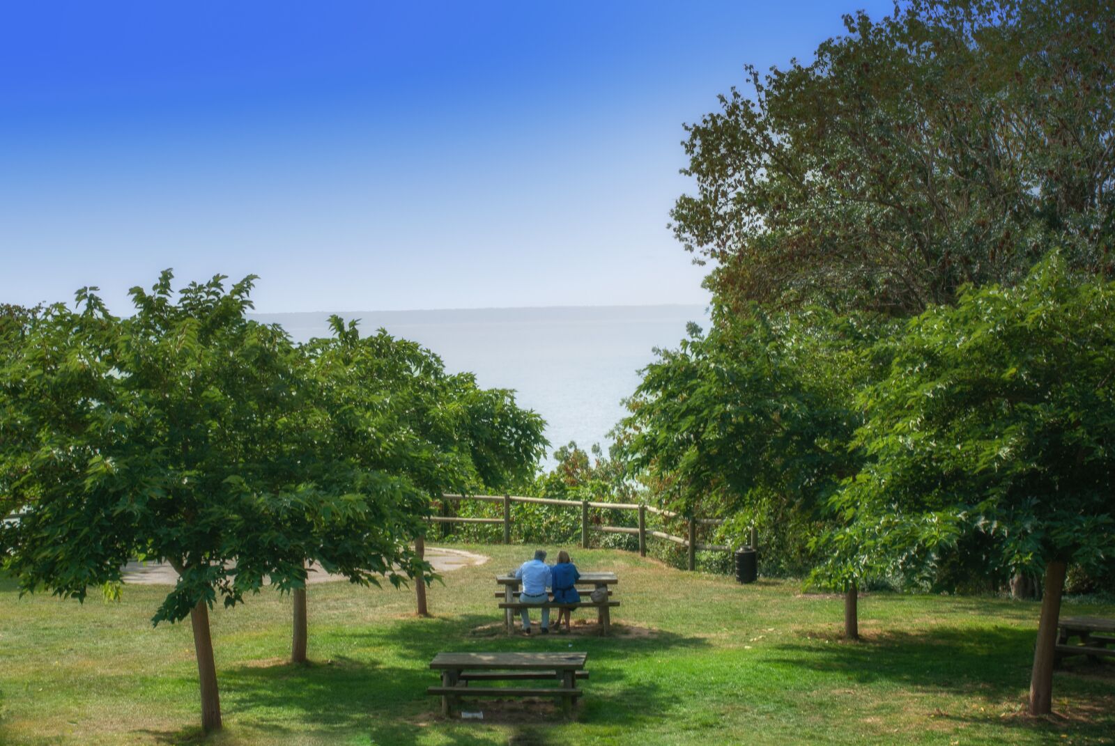 Nikon D80 sample photo. Park, landscape, green photography