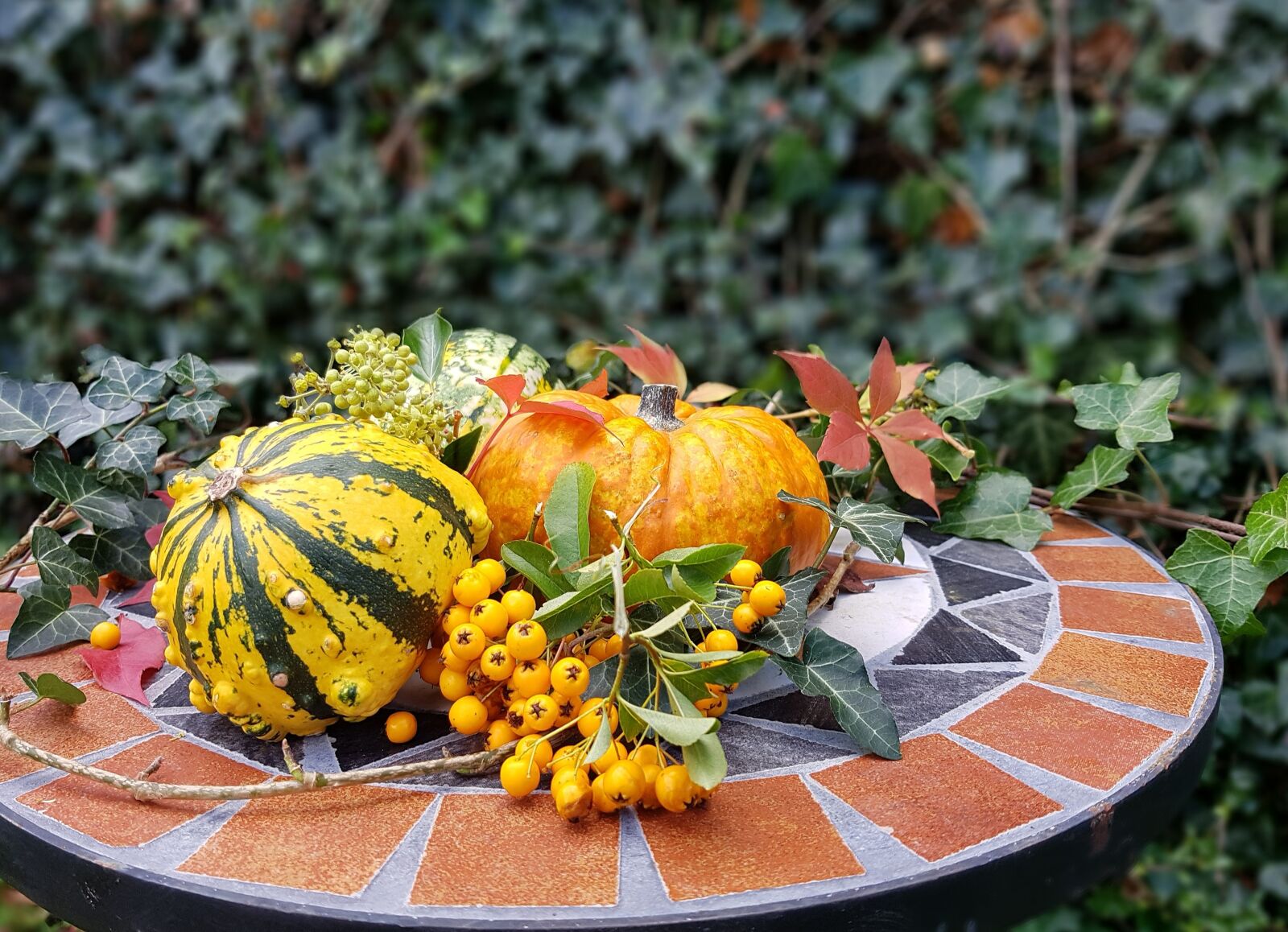 Samsung Galaxy S7 sample photo. Autumn, deco, garden photography