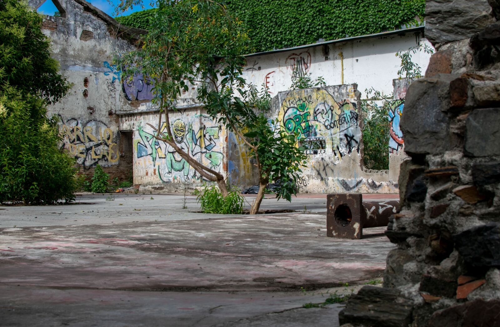 Nikon D3300 sample photo. Ruin, graffiti, colonia photography
