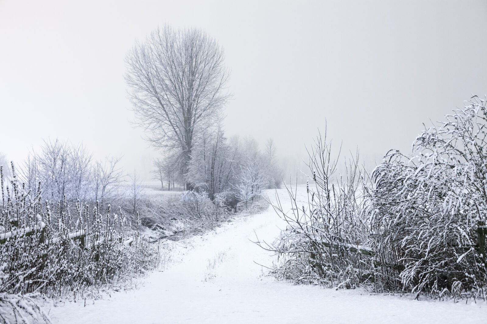 Canon EOS 5D Mark II sample photo. Cold, landscape, road, snow photography