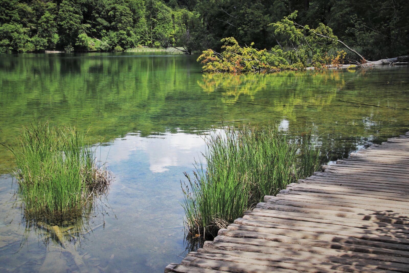 Canon EOS 80D sample photo. In the morning, lake photography