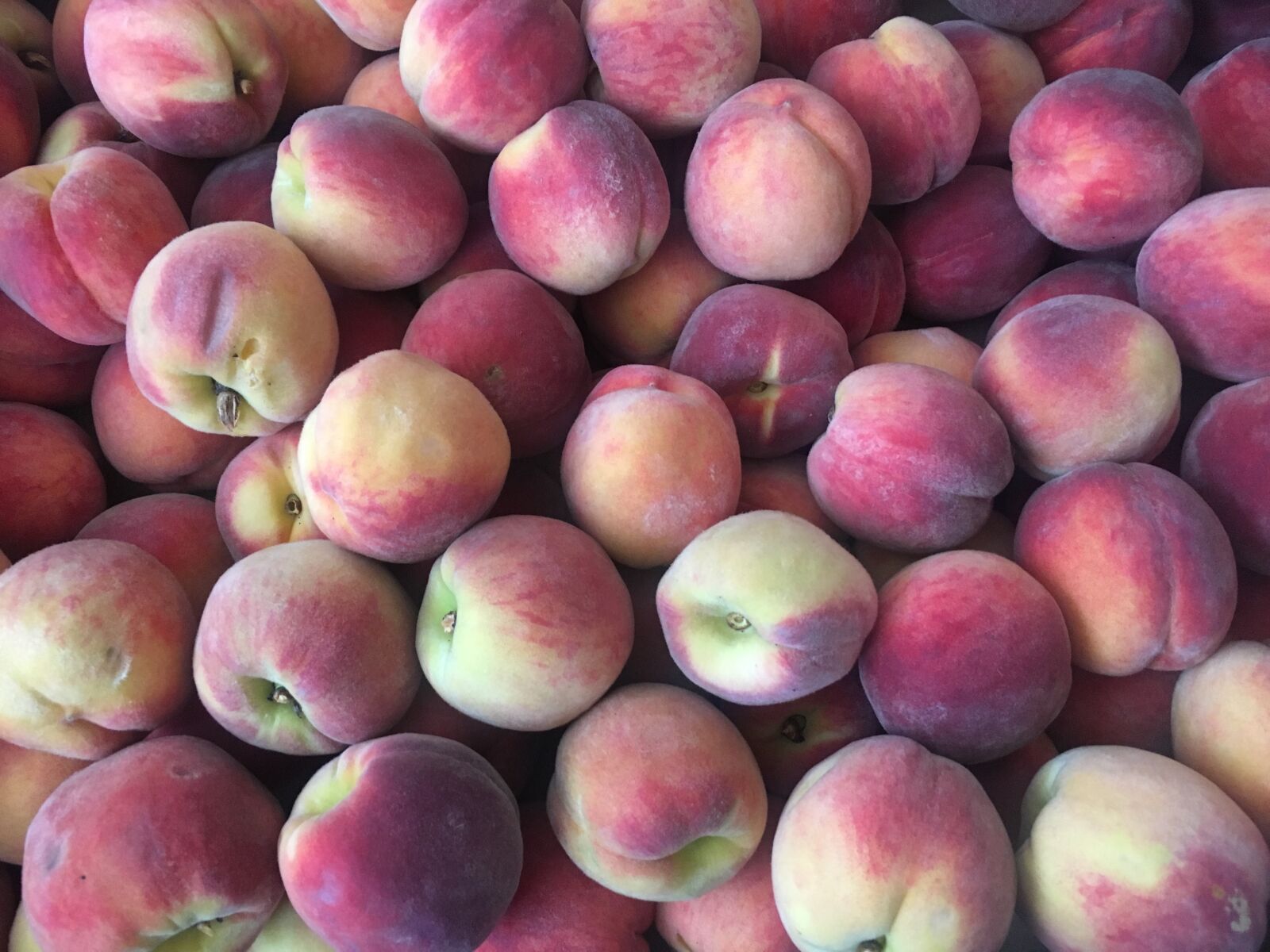 Apple iPhone 6s sample photo. Peach, fruit, peaches photography