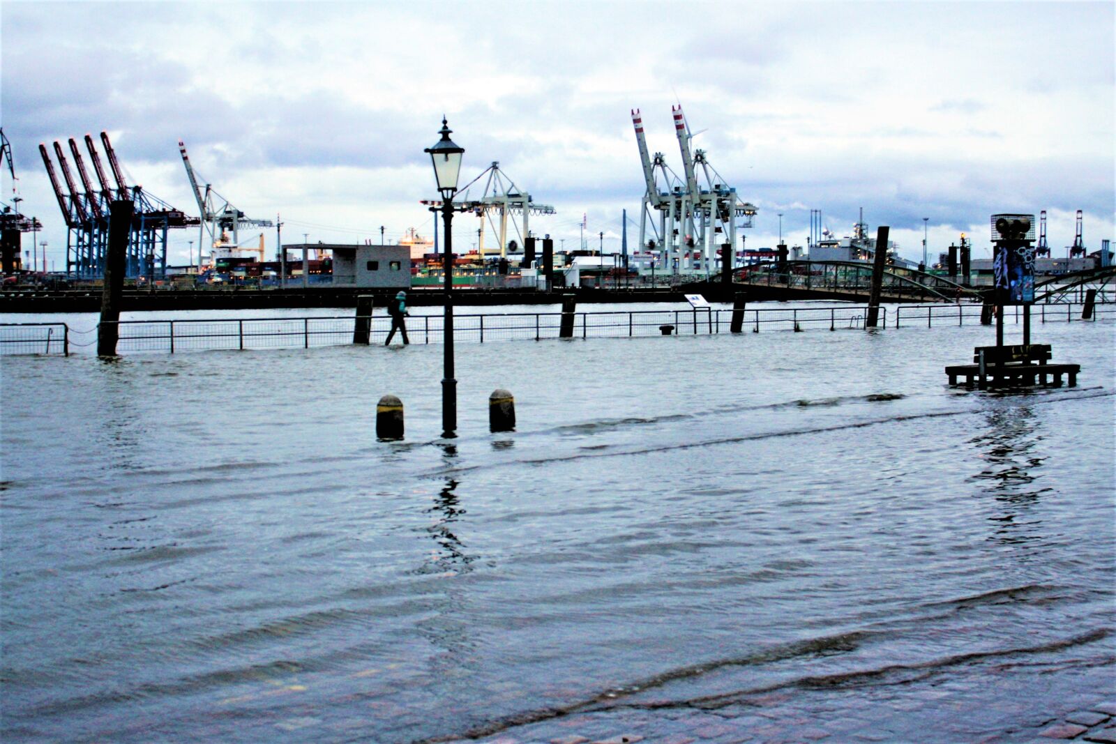 Canon EOS 1000D (EOS Digital Rebel XS / EOS Kiss F) sample photo. High water, flooded, forward photography